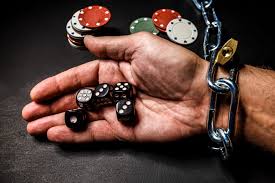 Вход на официальный сайт AVOCADO CASINO